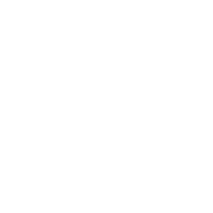 Instagram persona profile of Danesha "Dr. Dee" Chisholm, Dr. Credit Bae