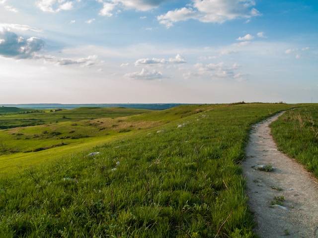 image of dirt path and grassland
