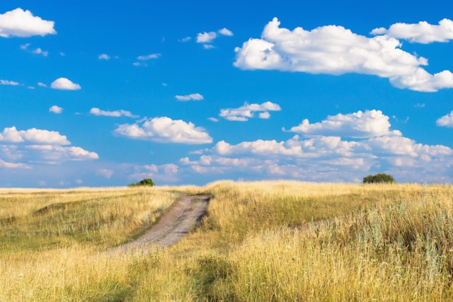 image of a dusty road surrounded by grass