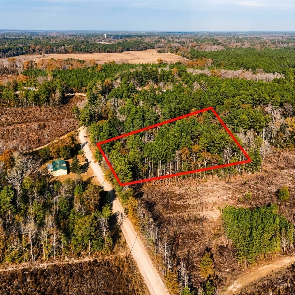 image of dirt path and grassland