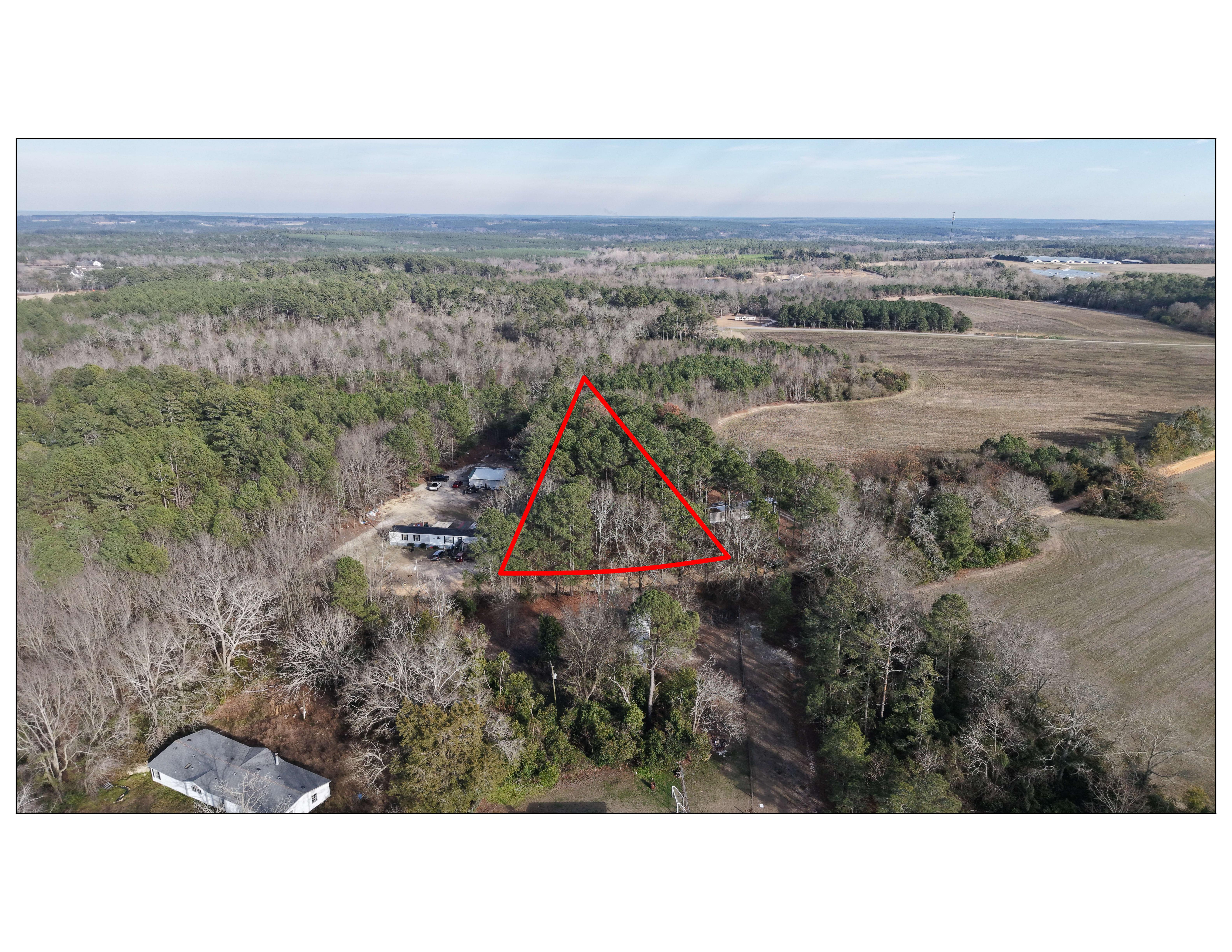image of small shack surrounded by grass and tress