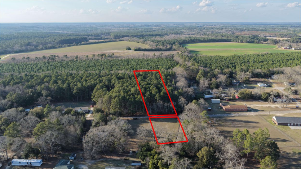 image of cows grazing in the grass
