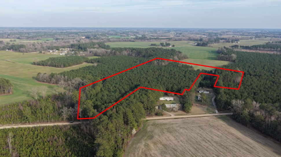 image of green grass field 