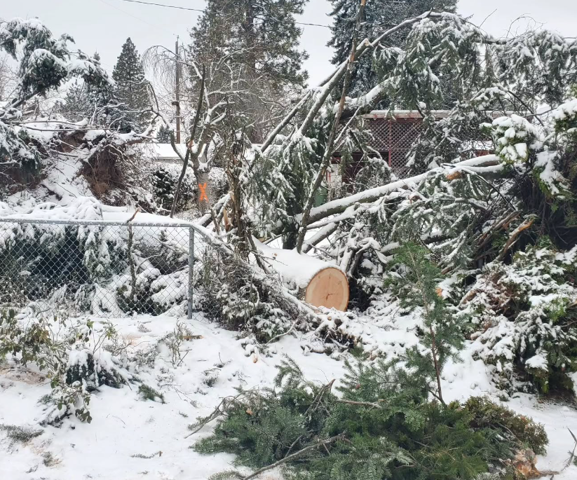 Seasonal Services image