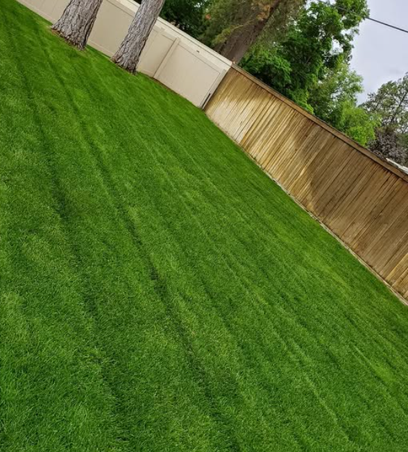 Quality yard work image