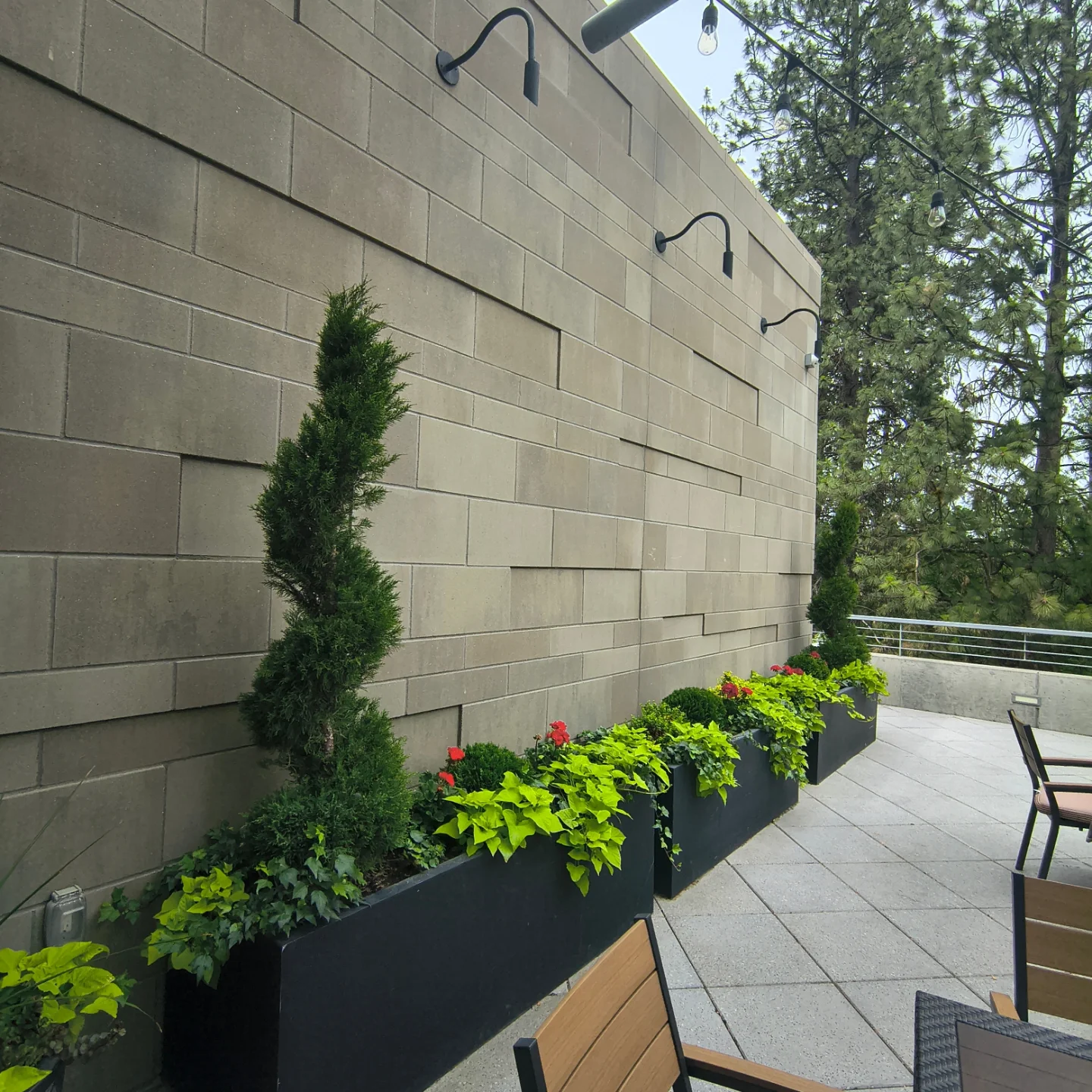 Spokane tree images Martinez bros landscape