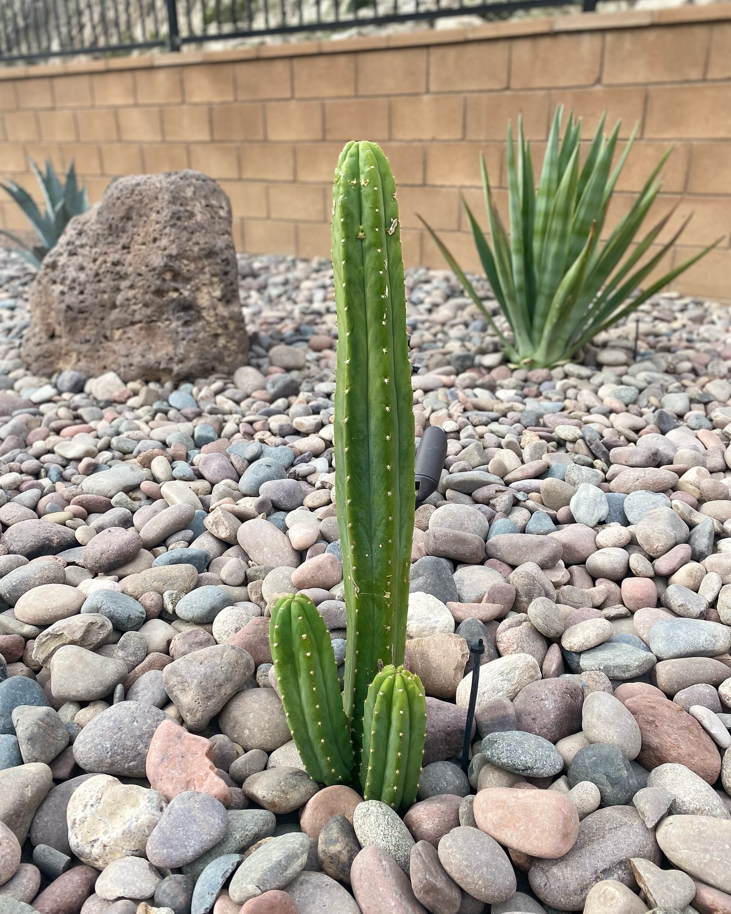 Quality renovation proof digout