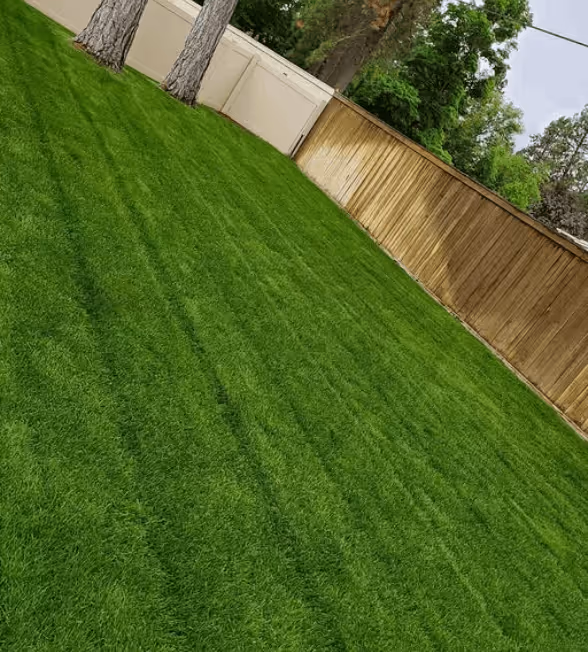 Quality yard work image