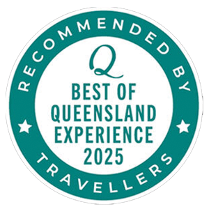 Person wearing harness crossing a suspended wooden plank rope bridge at Sunshine Coast TreeTop Challenge