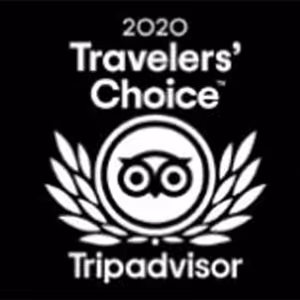 2020 Travelers' Choice award logo from Tripadvisor featuring an owl emblem with laurel leaves.