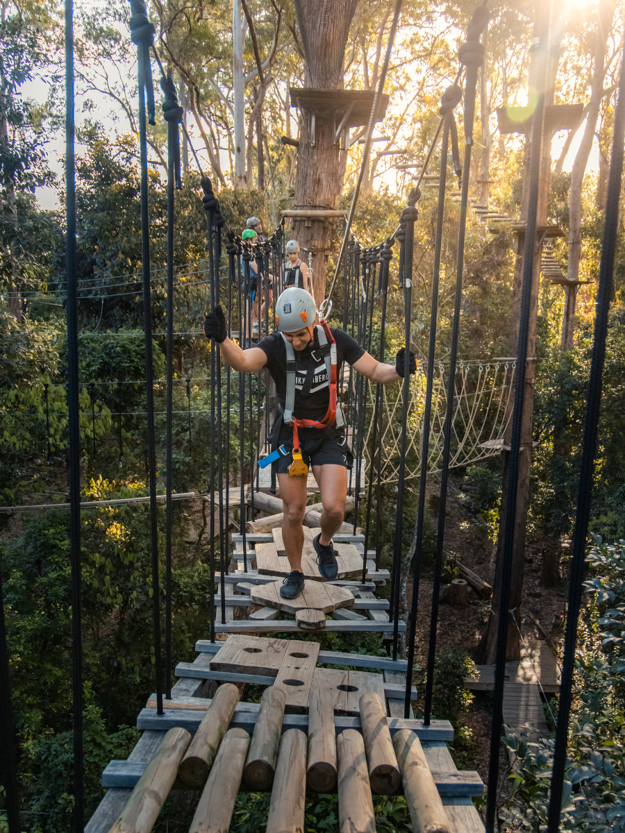 People wearing helmets and harnesses crossing a suspended wooden rope bridge in a forest adventure park at sunset.