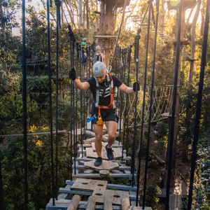 Person wearing harness crossing a suspension bridge at our Sunshine Coast TreeTop Challenge