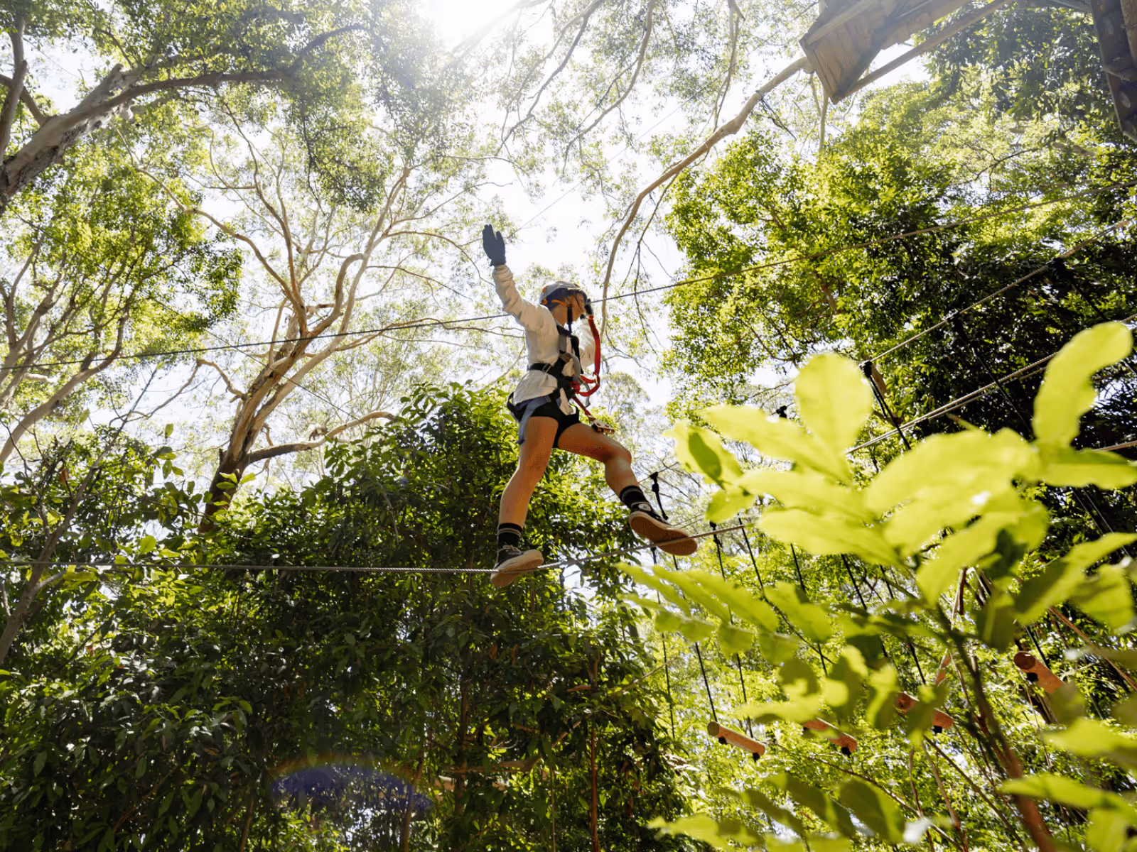 Page Hero Background Image