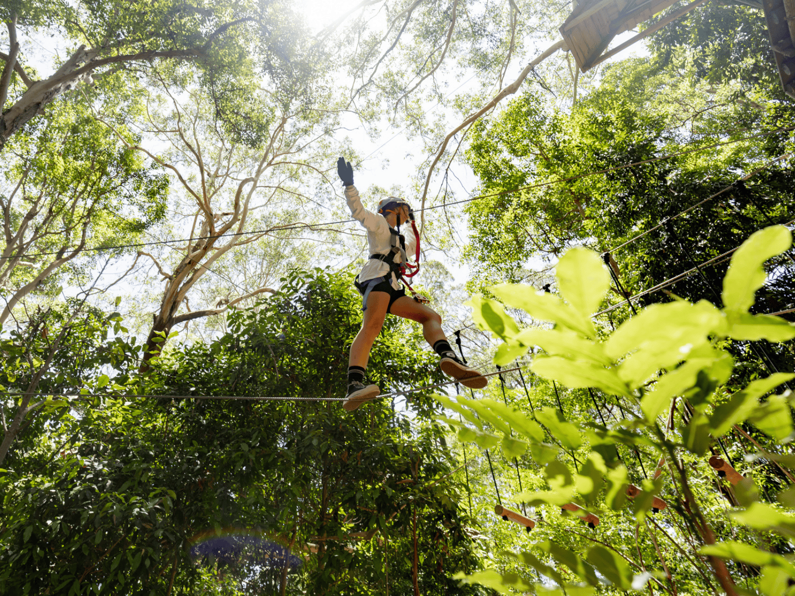 Page Hero Background Image