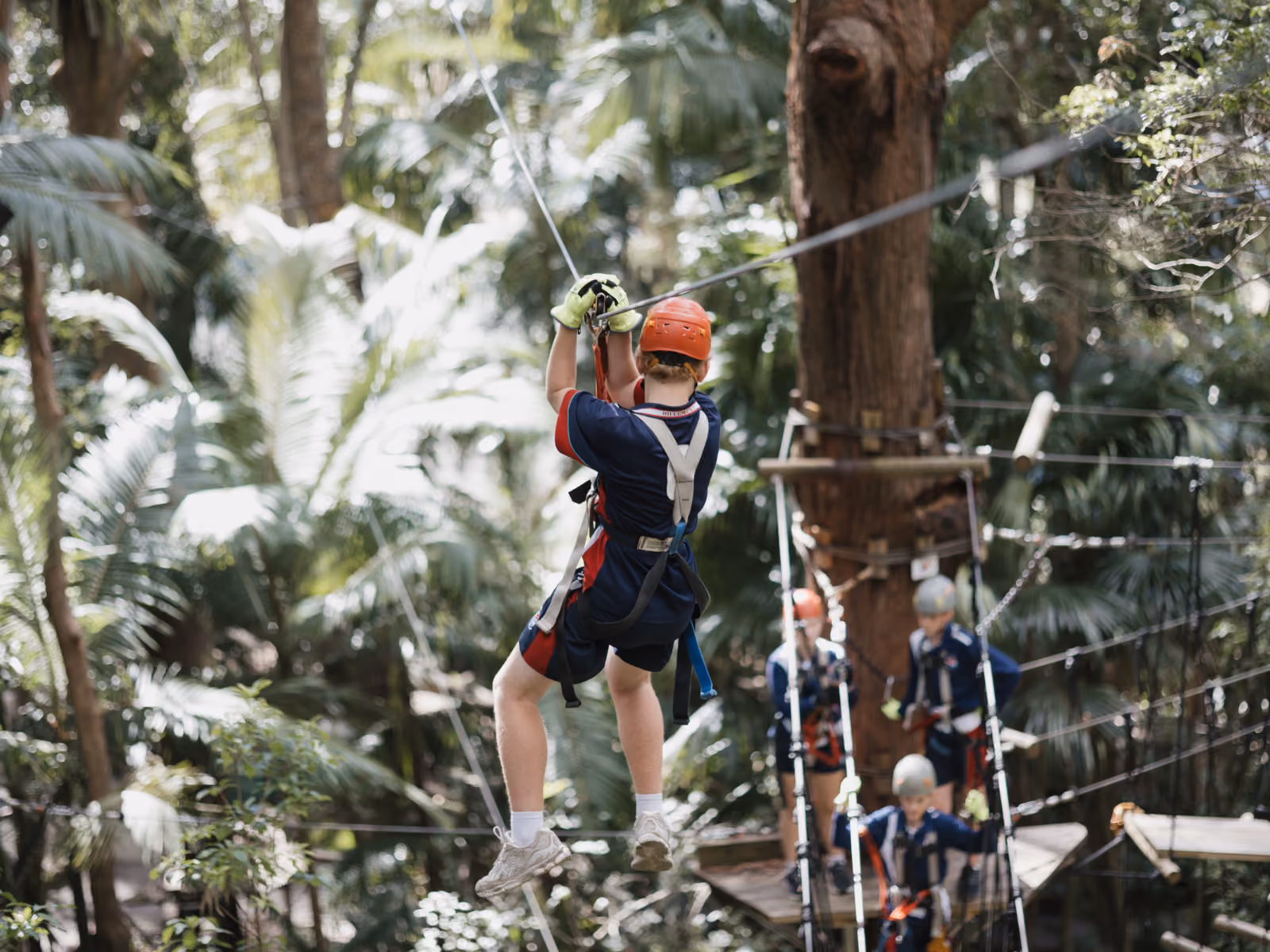 Person wearing helmet and harness ziplining through dense forest with others on a rope bridge nearby.