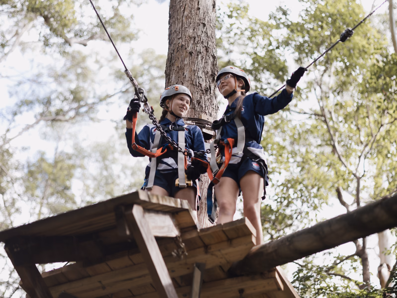 Students on the Treetop Challenge zipline course in the rainforest canopy at Currumbin