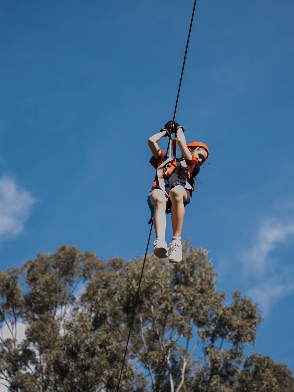 Young woman wearing safety harness and helmet crossing a wooden rope bridge at our Sunshine Coast TreeTop Challenge High Ropes park
