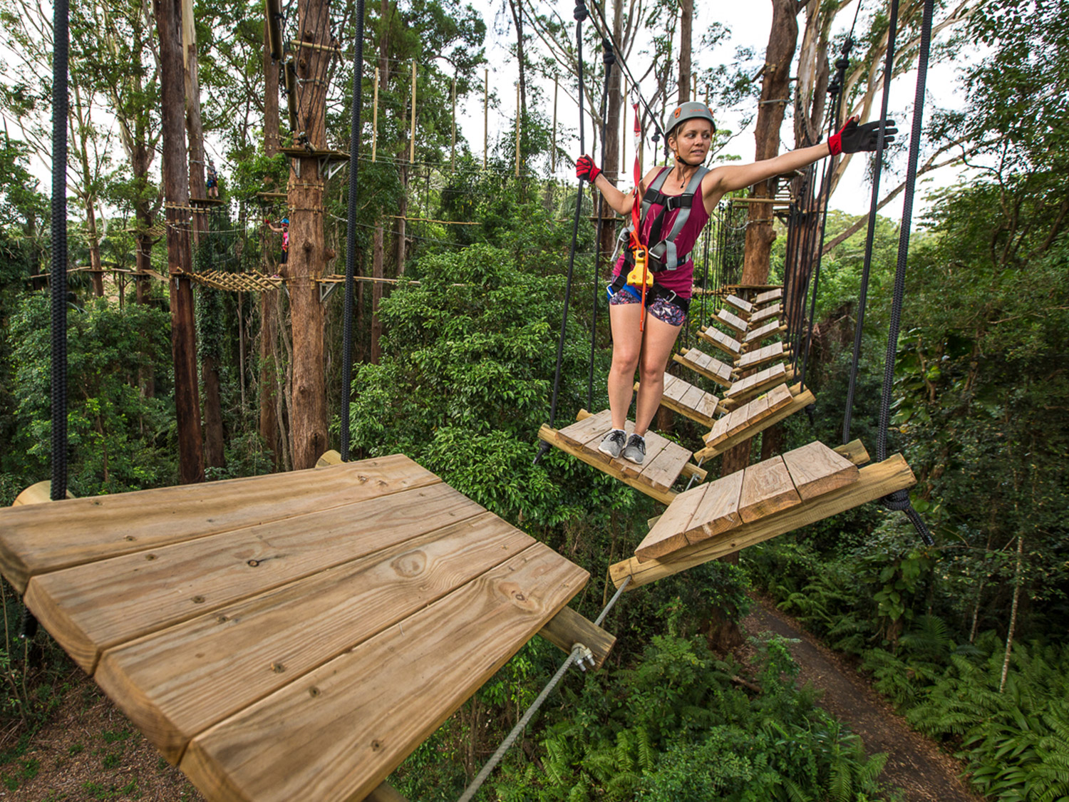 Currumbin Wildlife Sanctuary