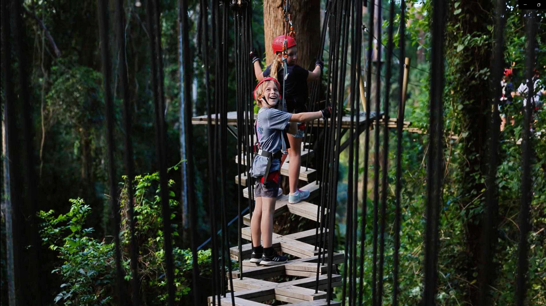 A young boy harnessed and smiling as he looks above while crossing a suspended high ropes game at our Sunshine Coast Juniors TreeTop Challenge