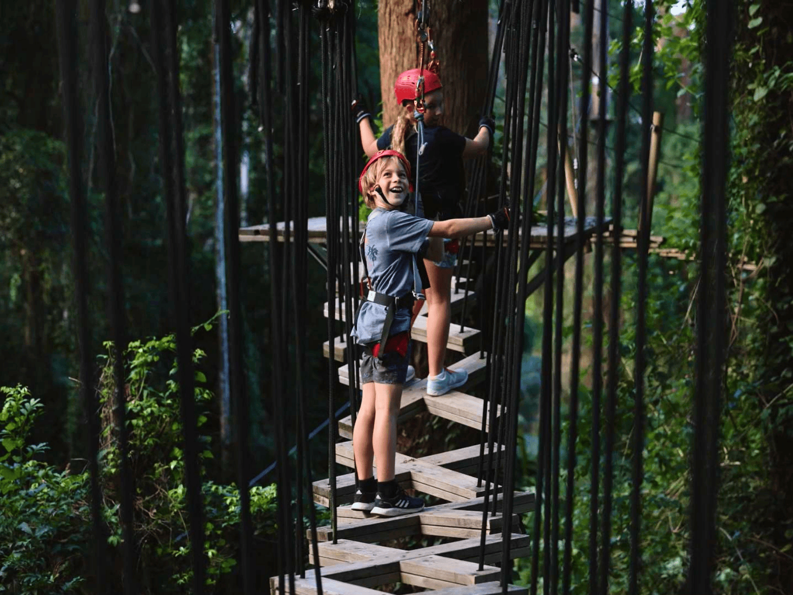 Destination Gallery Image