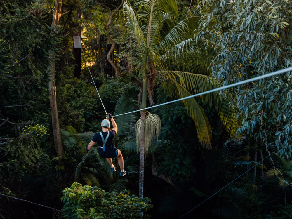 A man ziplining through the forest at our Sunshine Coast TreeTop Challenge