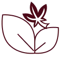 leaf icon