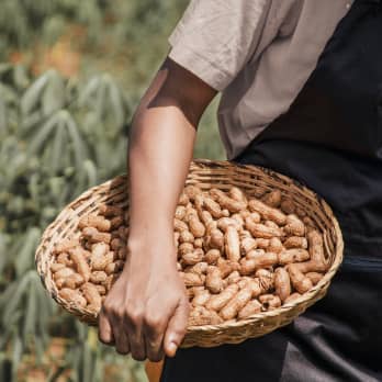 Instagram Image - Farmer X Webflow Templates