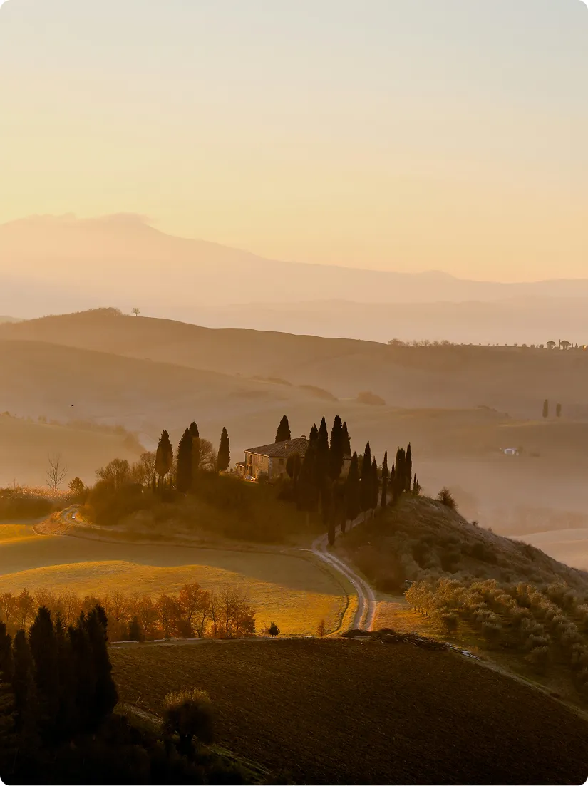 Tuscan Vineyards, Italy