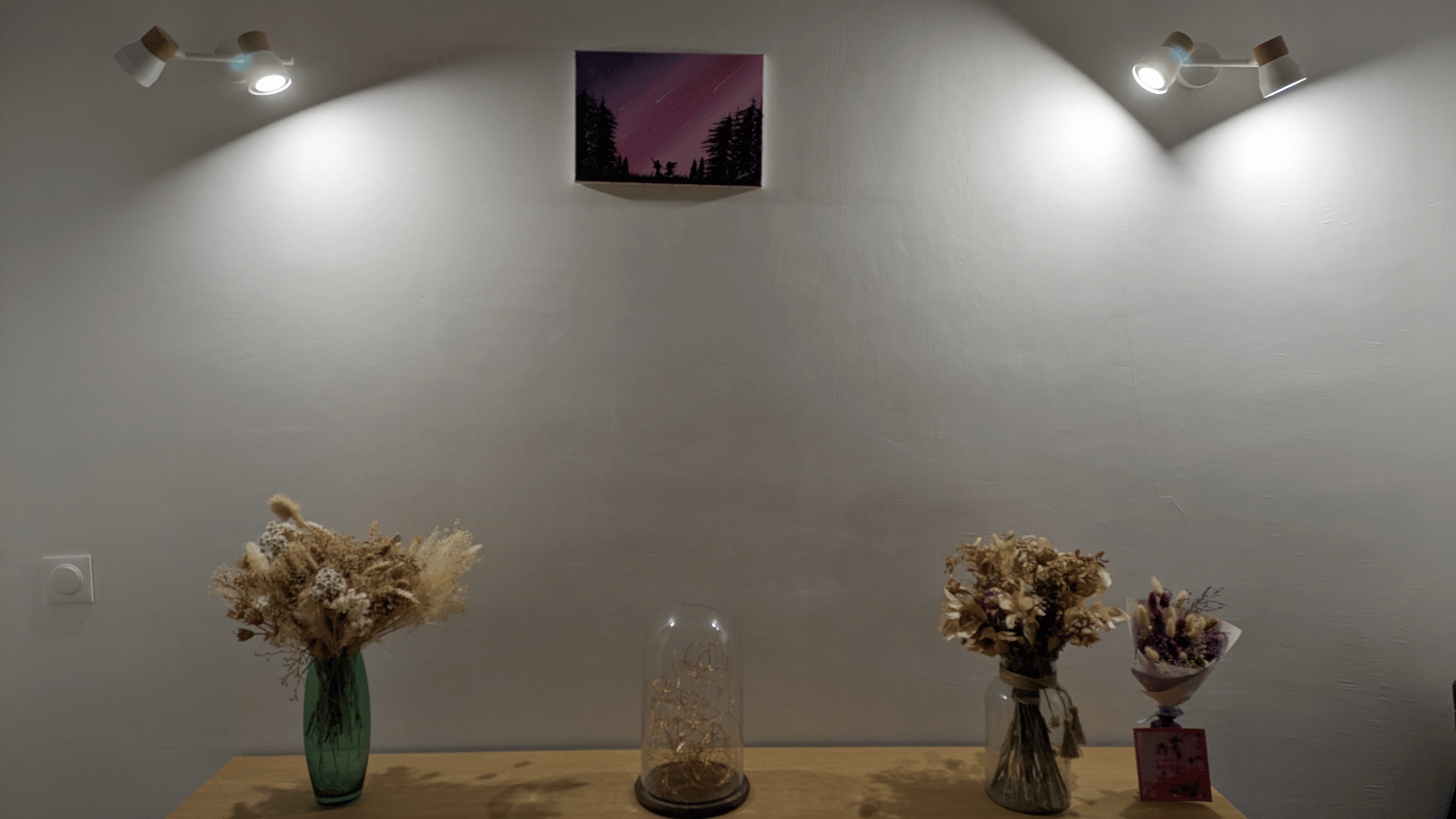 Shooting Stars Night Lovers