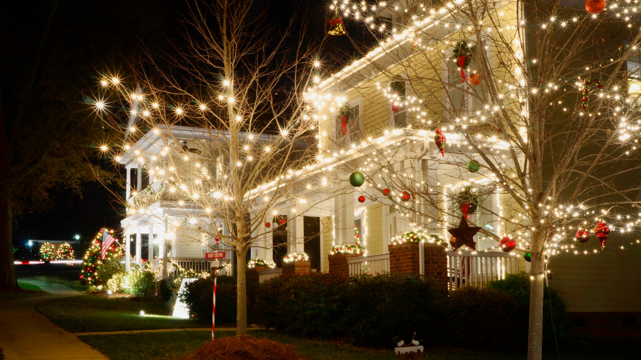christmas light installation cost​