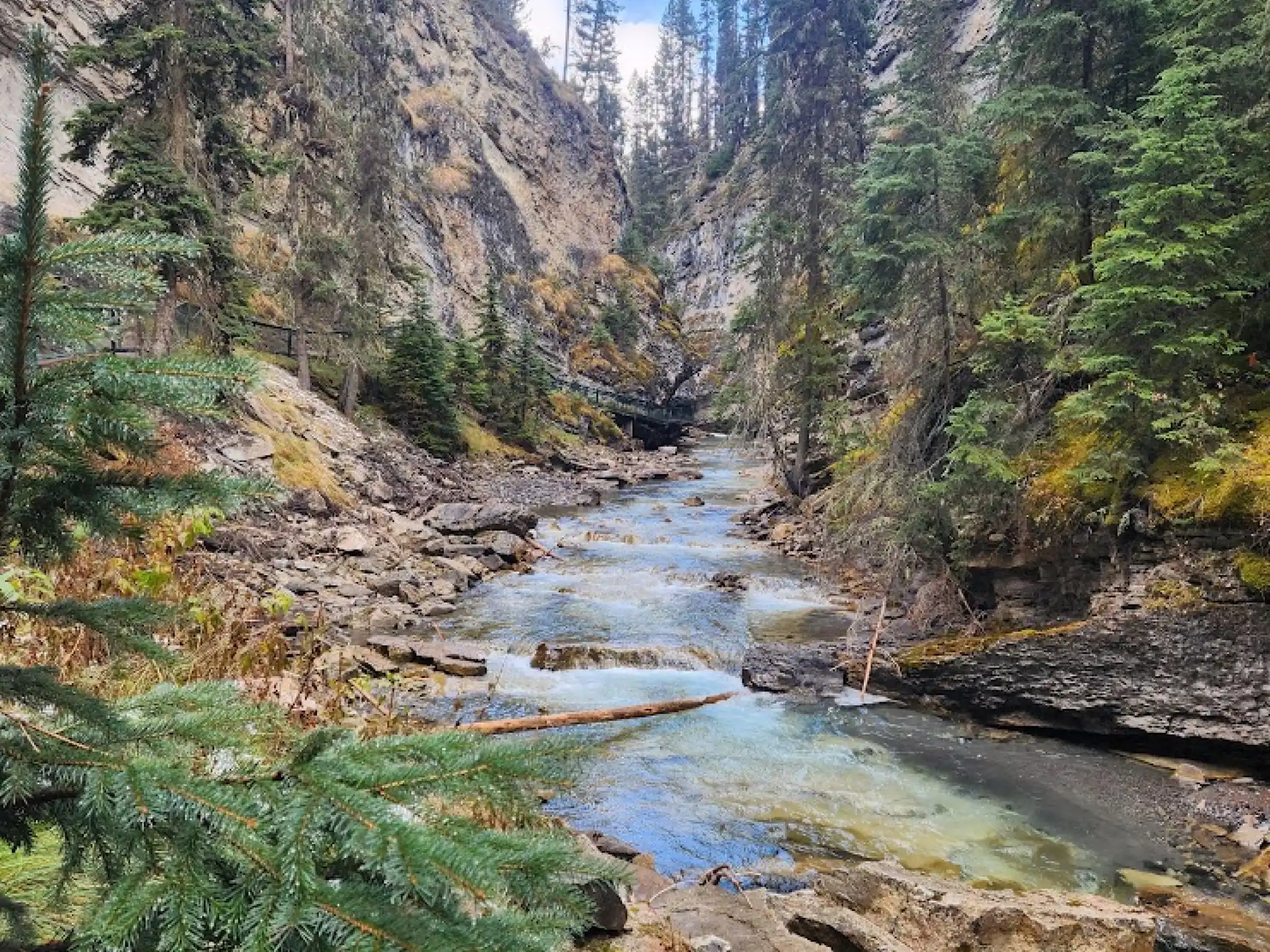 River in quiet forest