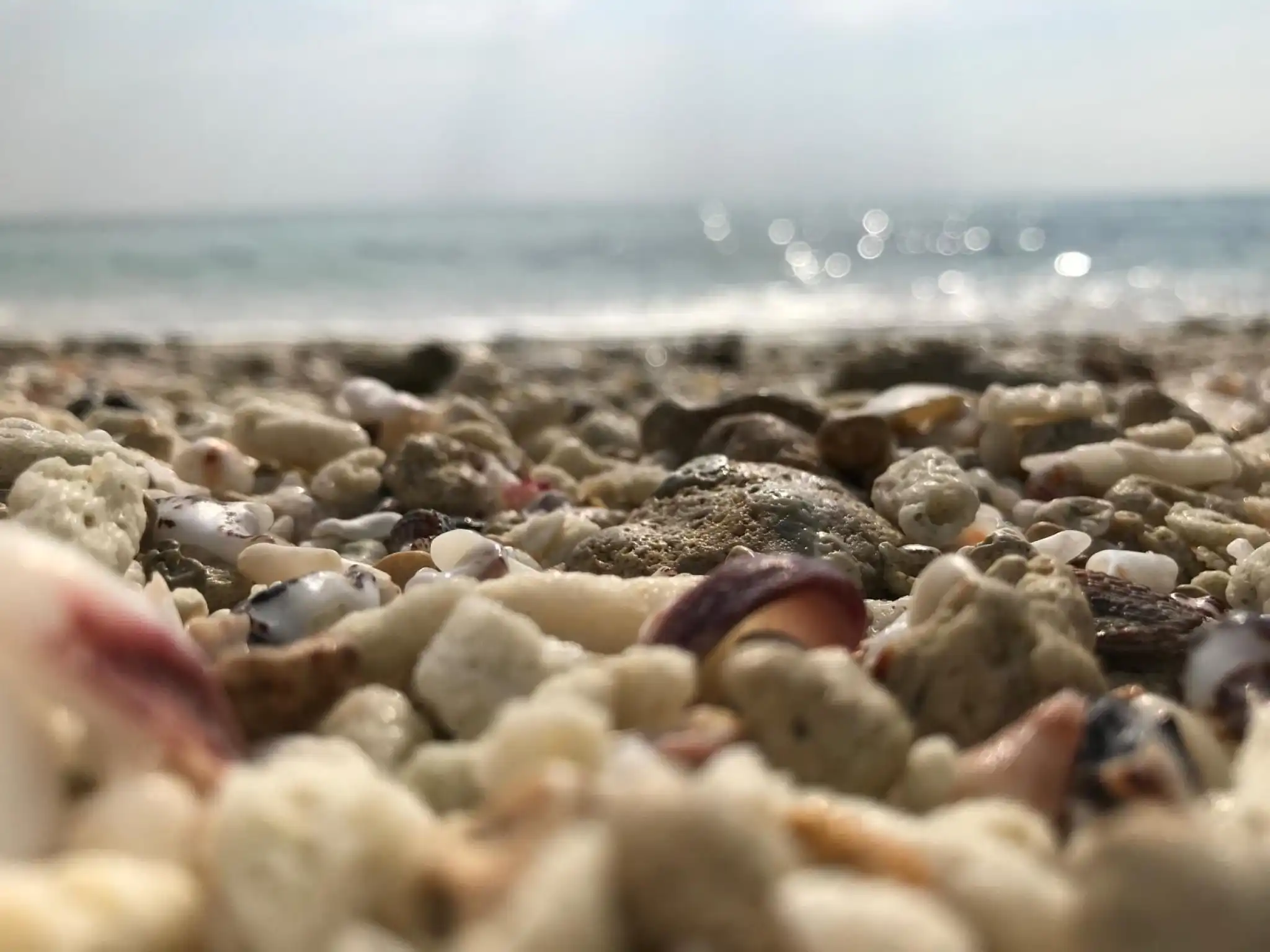 Pebbles and stones on the shore