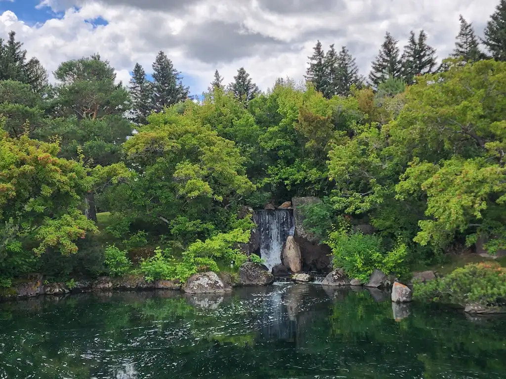 Lush green trees near waterfall and stream