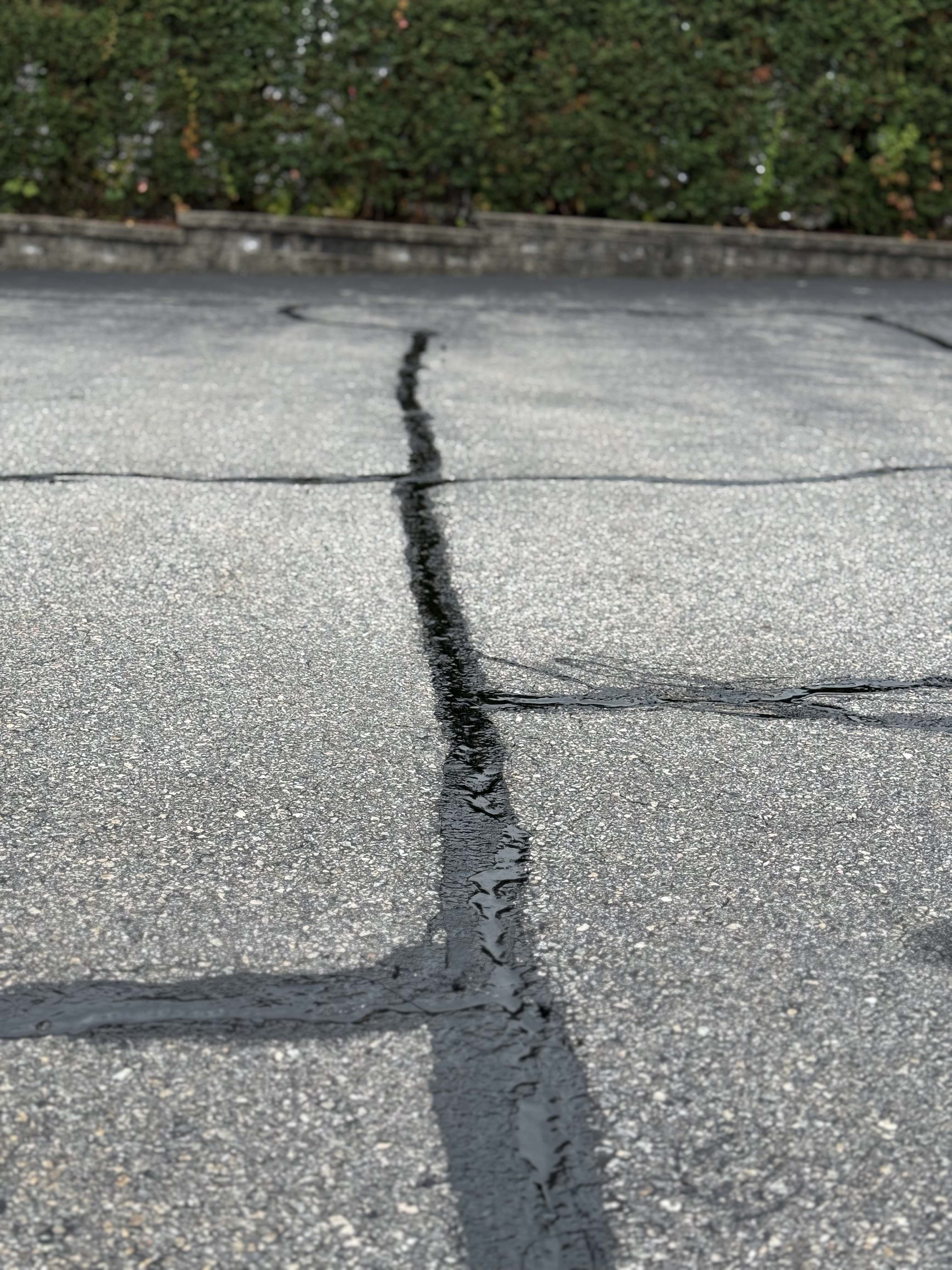 Close-up of an asphalt surface with black tar filling cracks, bordered by a green hedge and a low stone wall in the background.