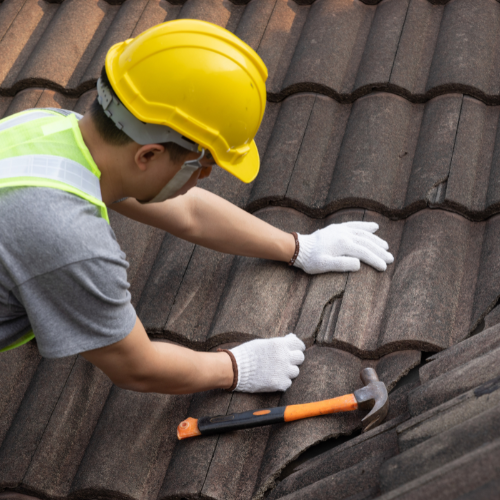 [team] image of team member (for a trucking company)