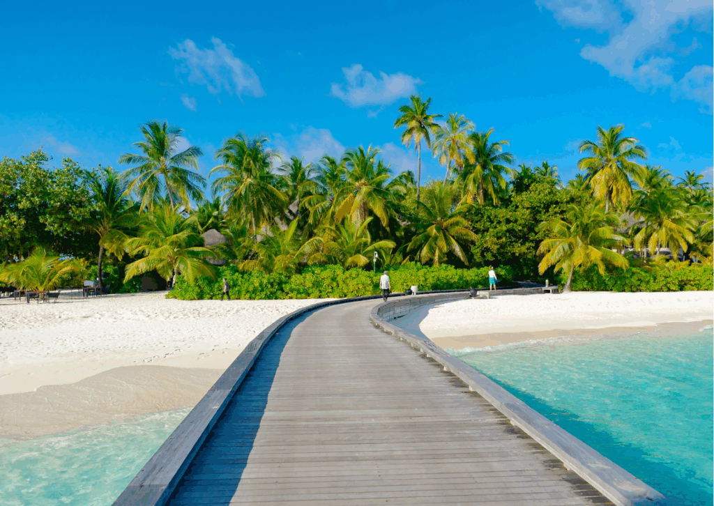 Picture of a beach in Vanuatu.