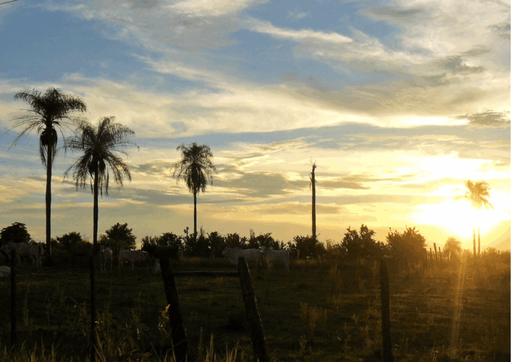 Image of a sunset in Paraguay, where you can get easy citizenship through naturalization.