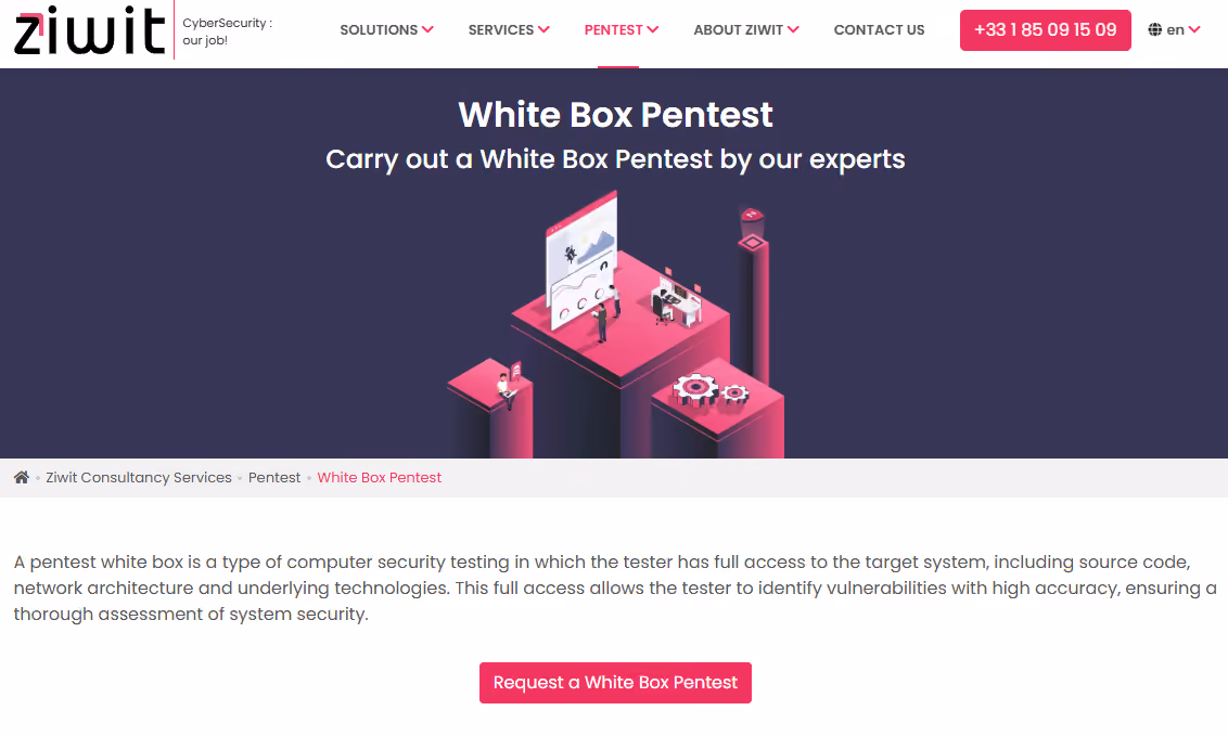security experts reviewing code and infrastructure
