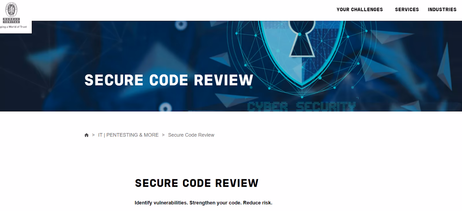 Secure Code Review hero image