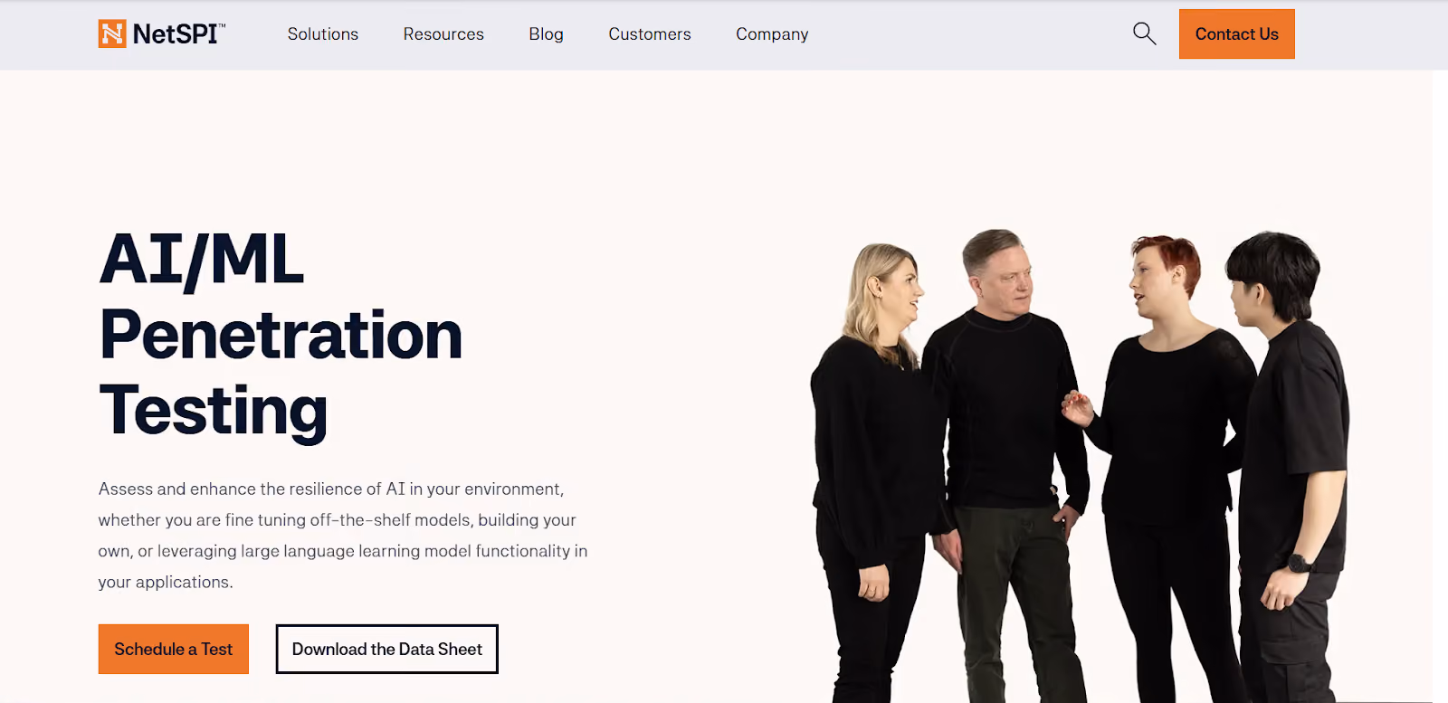 NetSPI Website