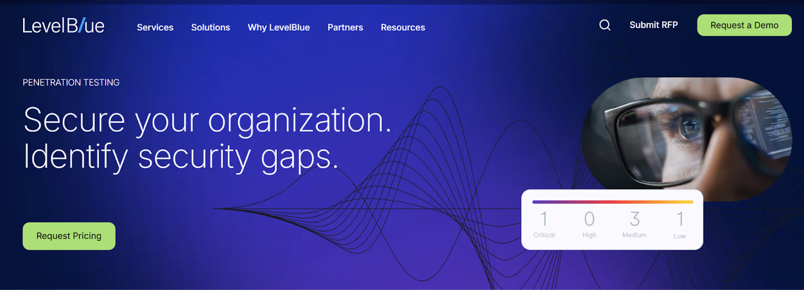 LevelBlue Website Screenshot