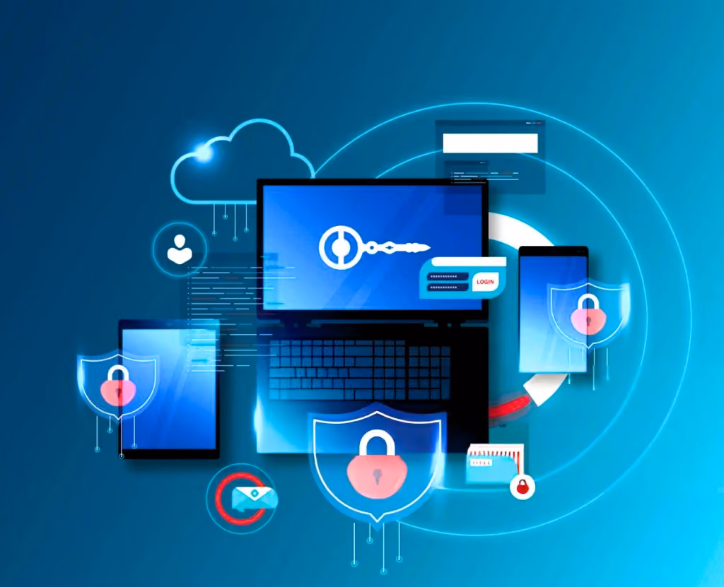 Web application penetration testing services