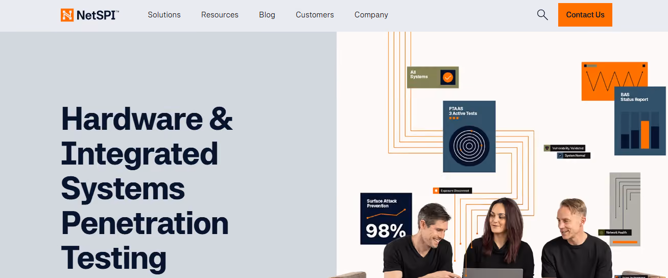 Screenshot of the NetSPI webpage