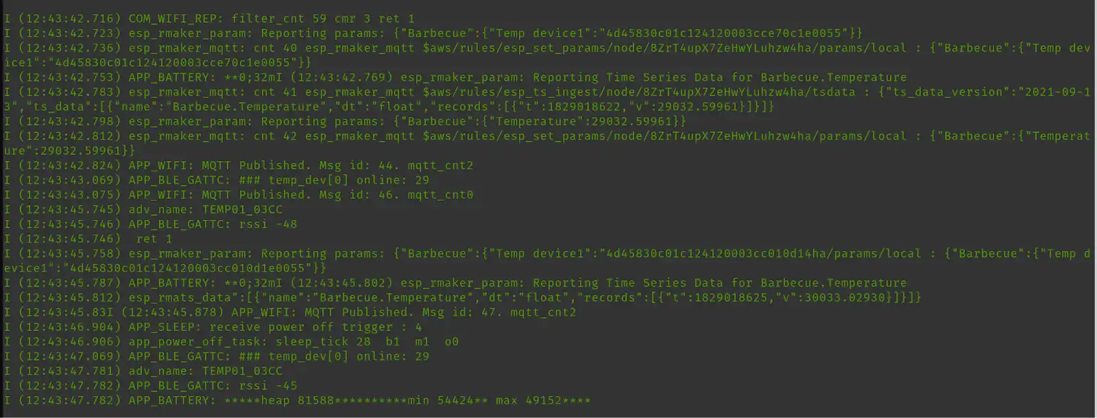 IoT penetration testing logs