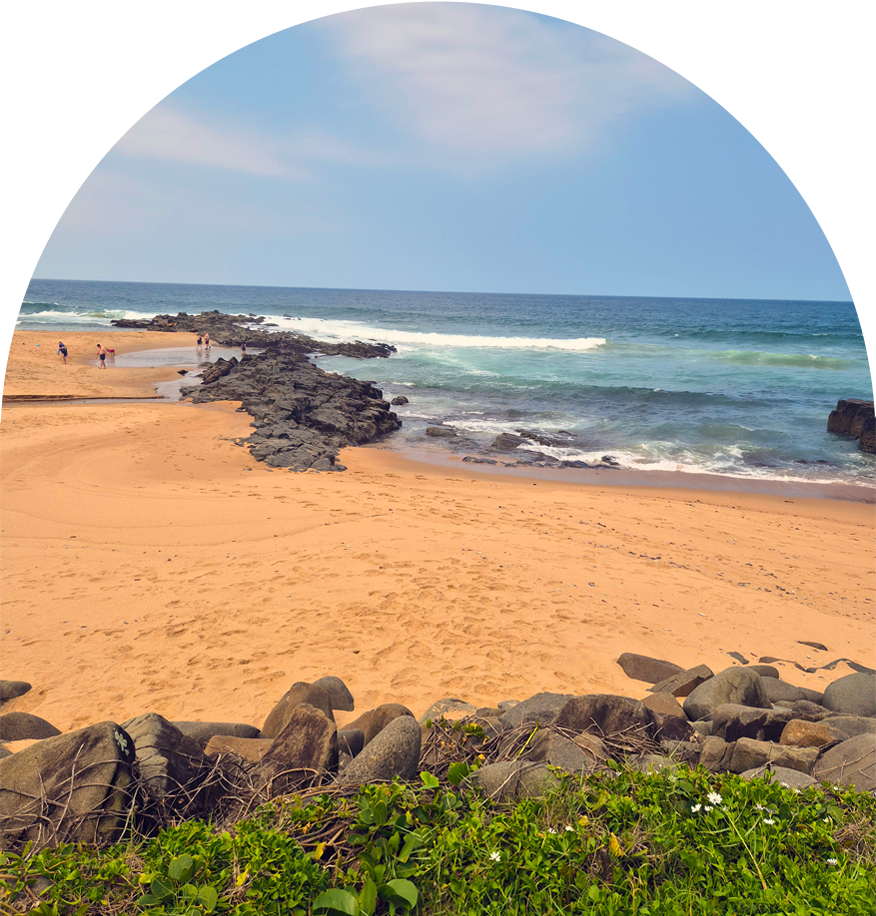 Sandy beach with scattered rocks extending into the ocean, green plants and flowers in the foreground, and a few people near the shoreline.