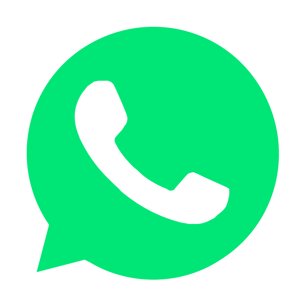 WhatsApp icon — alert delivery channel