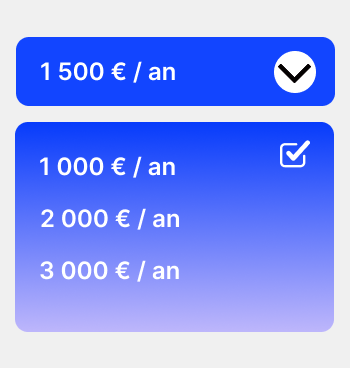 Menu déroulant affichant le montant sélectionné de 1500 € / an avec un menu étendu montrant des options de 1000 €, 2000 €, et 3000 € par an, avec 1000 € coché.