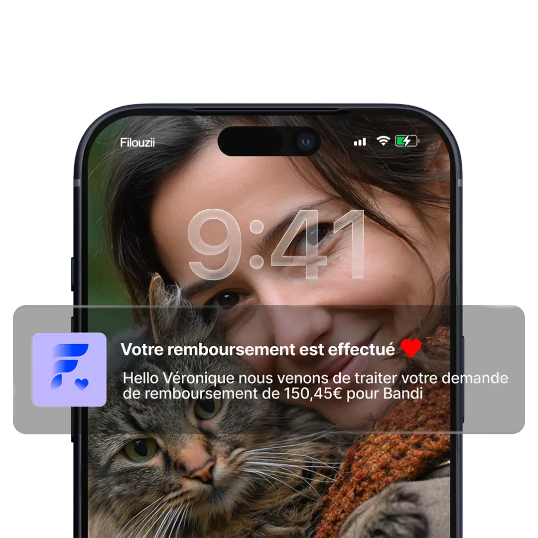 Notification de remboursement sur un smartphone avec une femme souriante tenant un chat gris rayé.