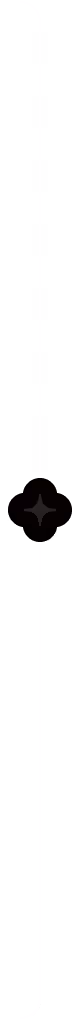 Minimal vertical decorative line with curved ends and a small glowing star at the center, set against a dark starry background.