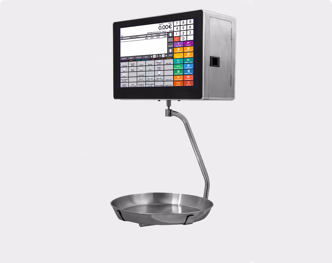 balance qwanto scales suspendue